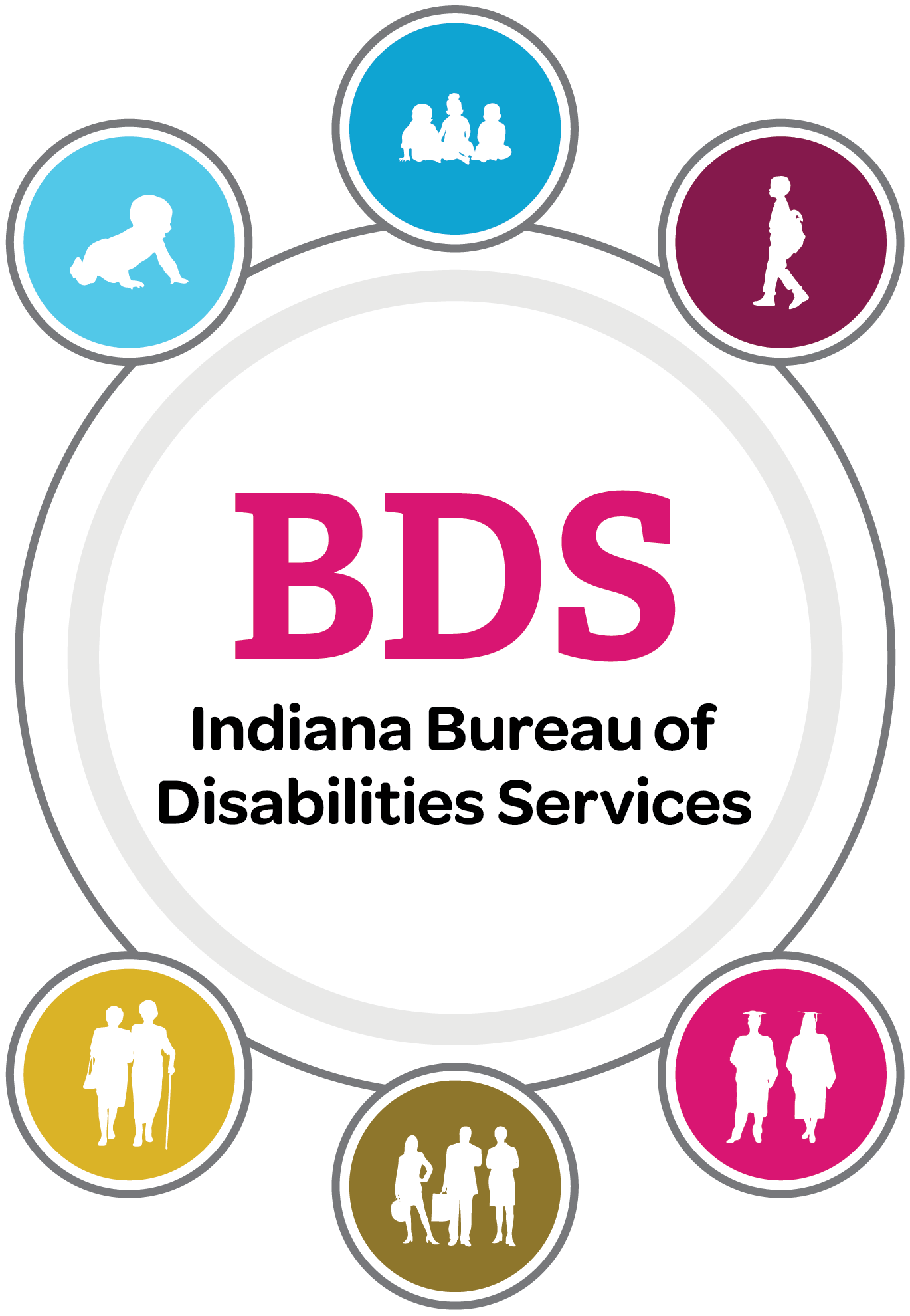 BDS logo